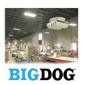Big Dog
